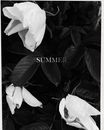Top view of black and white big blossoming flowers and large leaves with Summer inscription placed in center