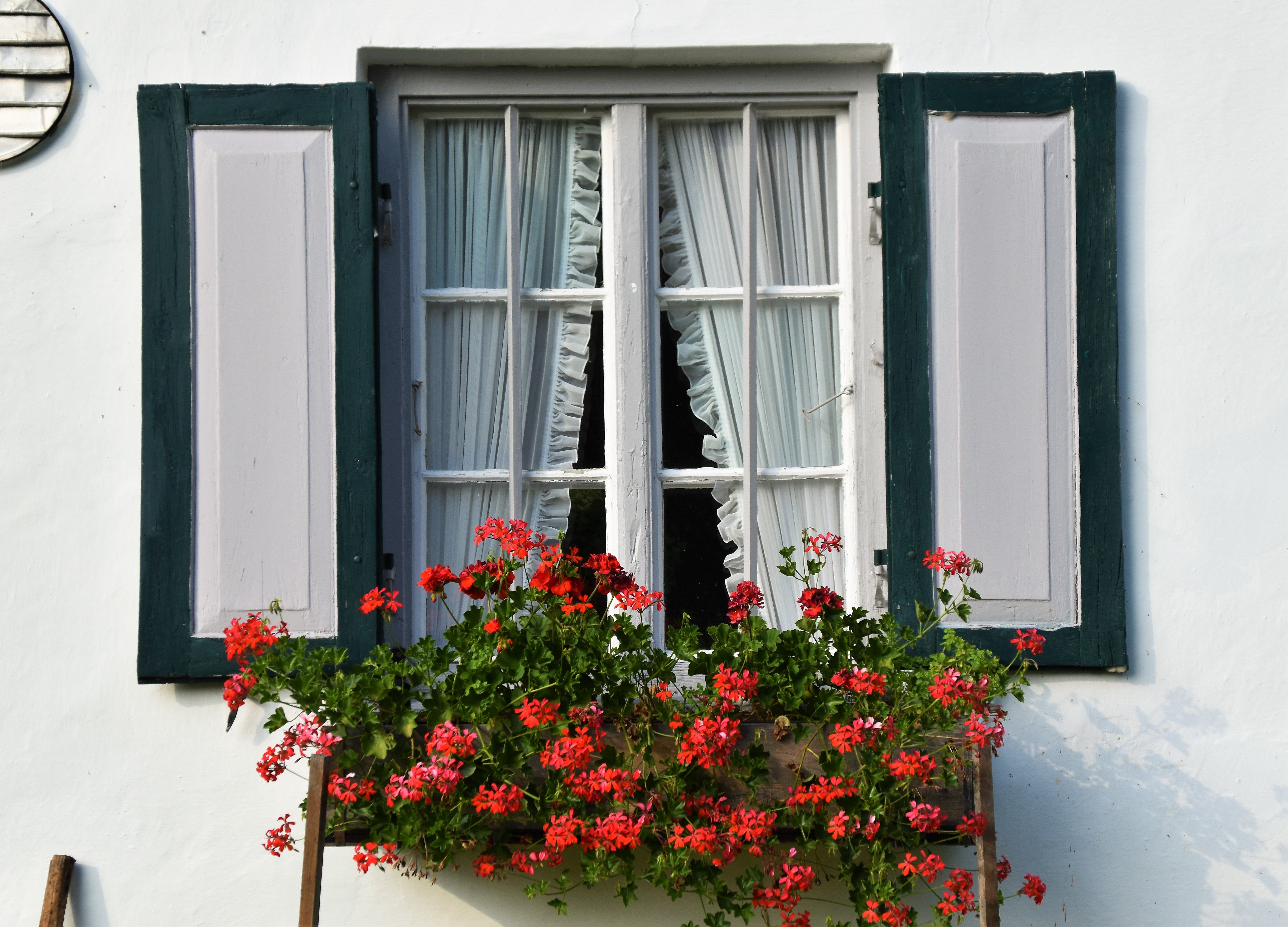 Moderne Frühlings-Fensterdeko: 5 DIY-Anleitungen für einen neuen Look — Variation