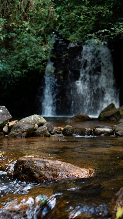 Foto profissional grátis de água, ao ar livre, cachoeiras