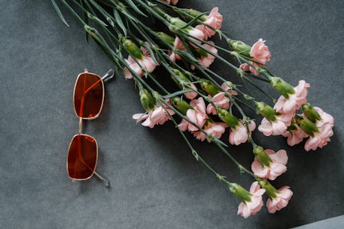 Kostnadsfri bild av blommor, flora, glasögon