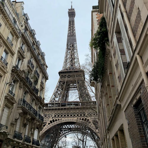 Free Eiffel Tower in Paris Stock Photo