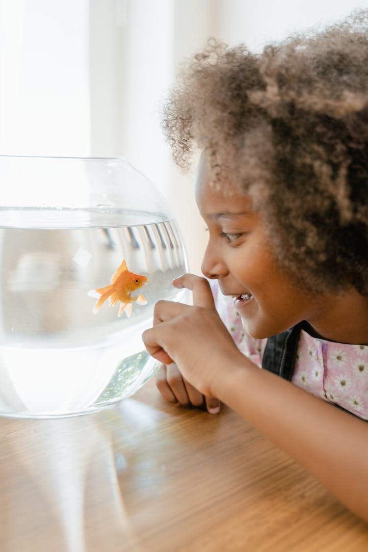 A Girl Looking At A Goldfish