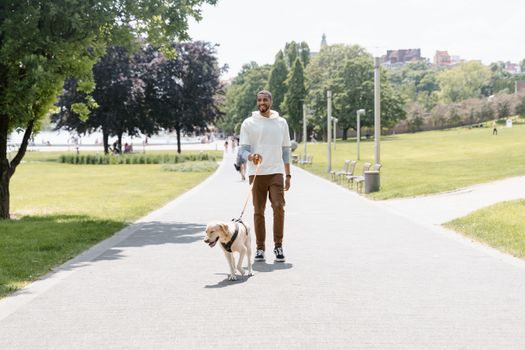 Barrie Dog Attack Raises Ottawa Pet Safety Concerns