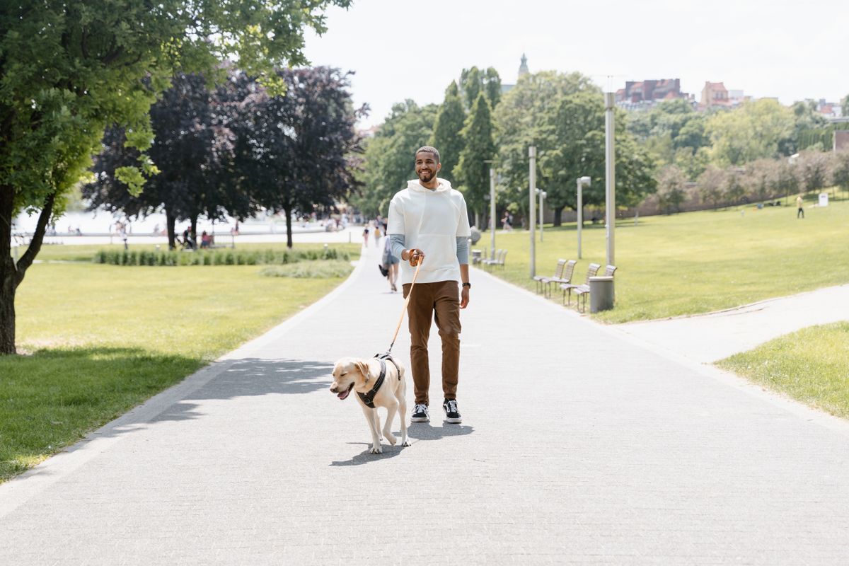 A bright park walk with a dog and owner shows the comfort goal behind moisture management, not a sickroom routine.