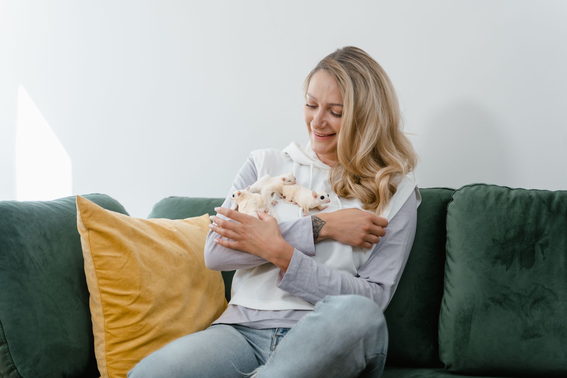 Healthcare and wellness consultation for a ferret