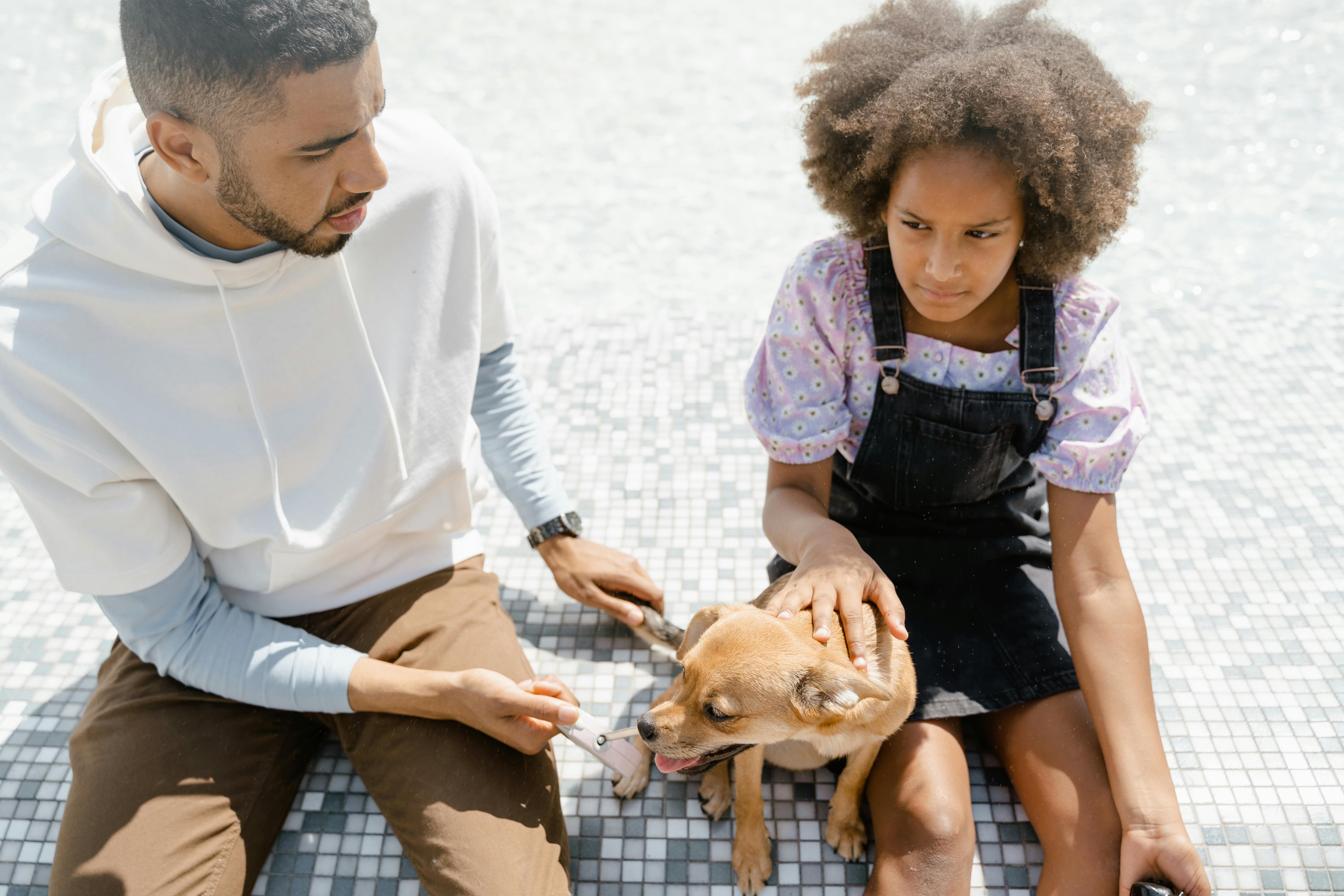 pet care pet safety — Photo by MART  PRODUCTION on Pexels