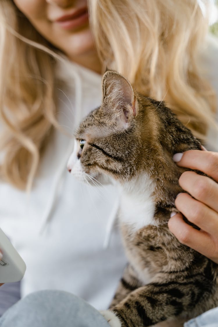 Close Up Photo Of Woman Holding A Cat