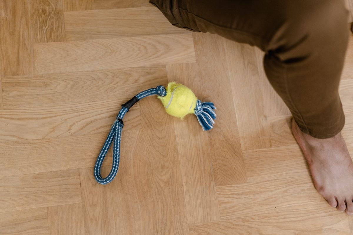 Cotton Rope Tug Toy