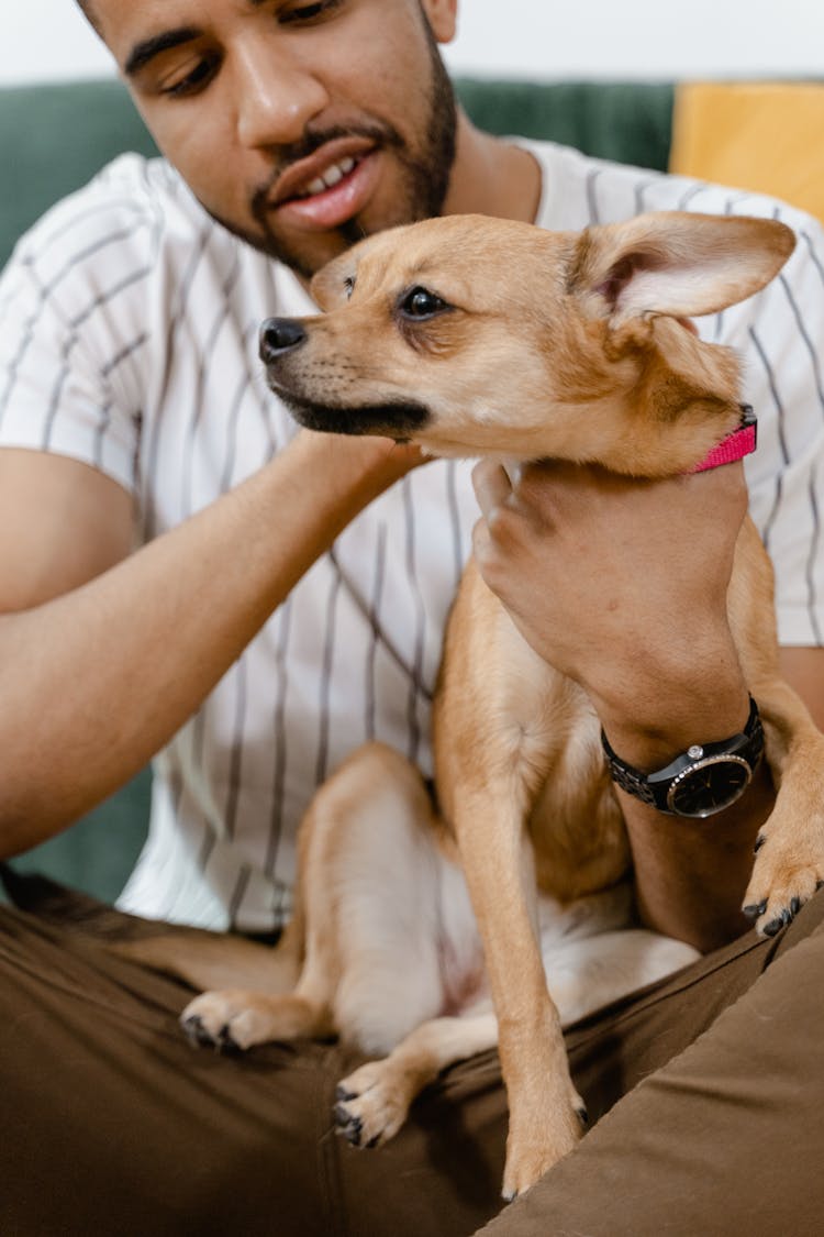 Man Petting A Dog