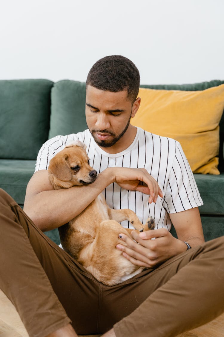 Man Carrying A Dog