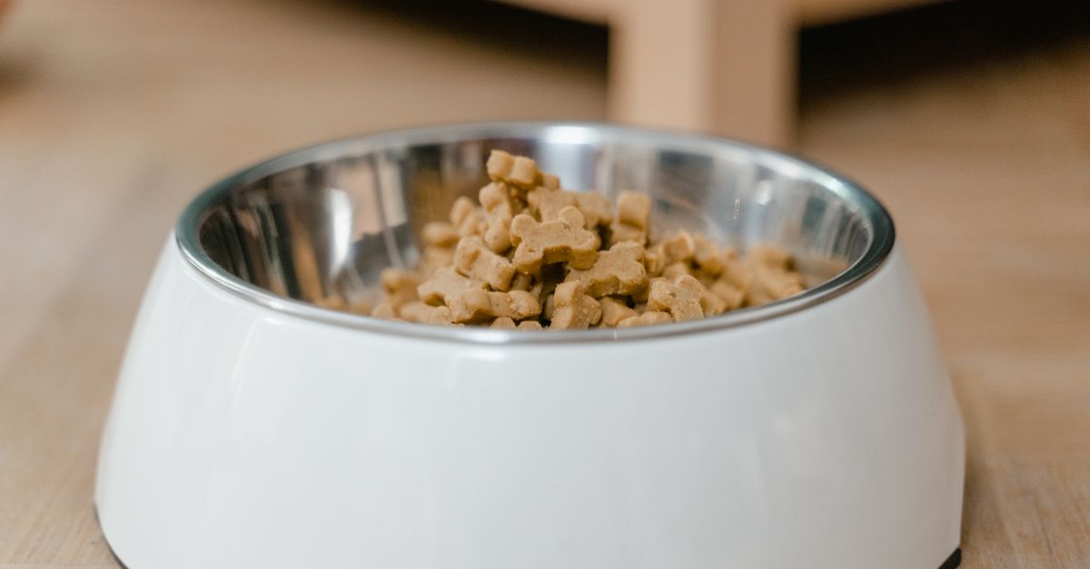 10 Essential Tips for a Safe Pet-Friendly Kitchen
