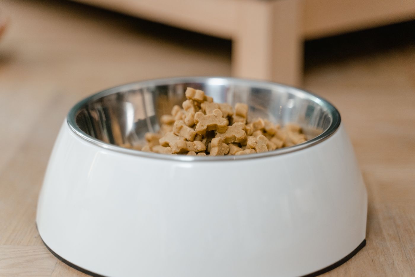 Unbranded dry dog food in a white bowl on a wooden floor