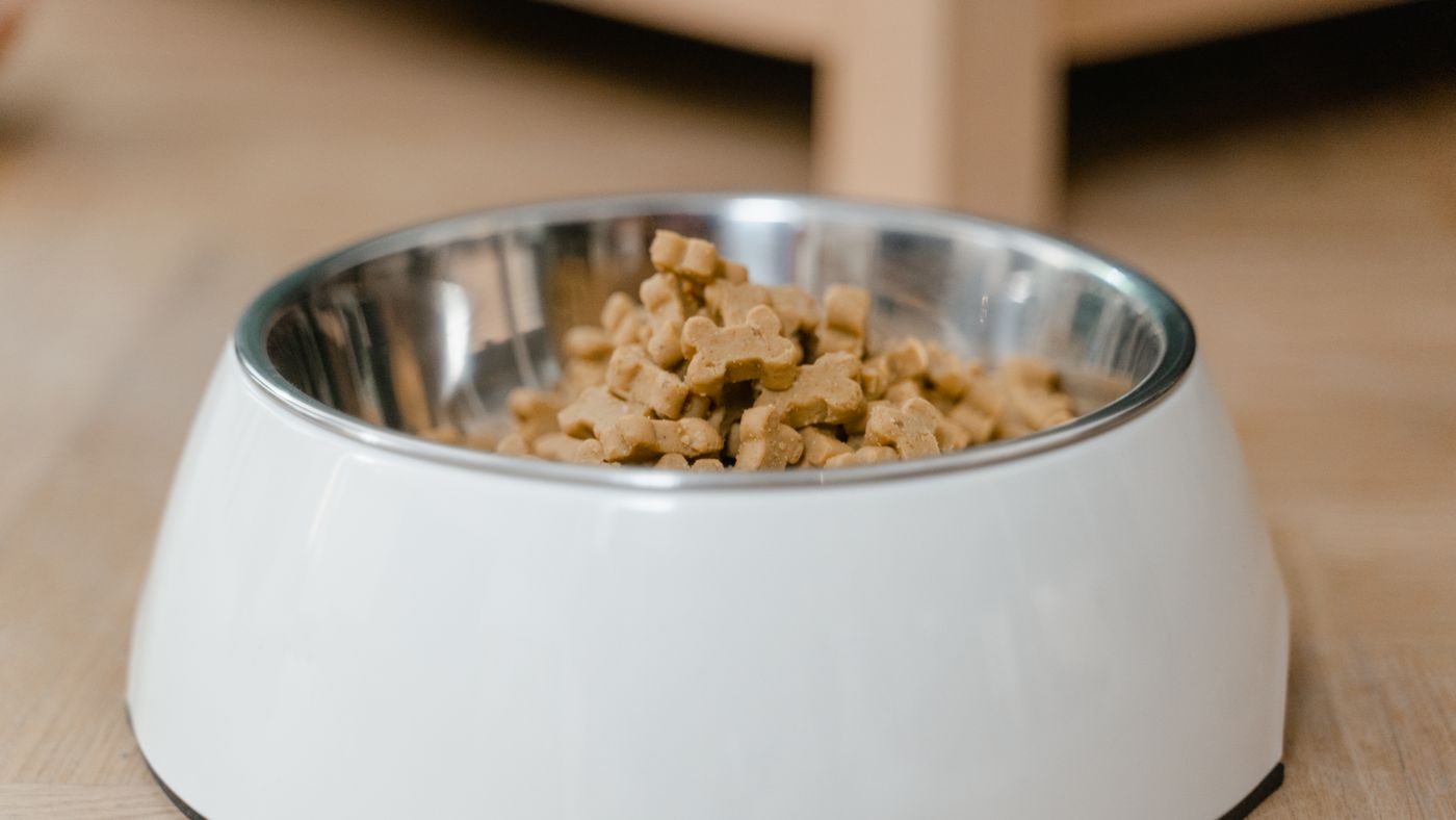 Where to Actually Buy the Best Food for Your Dog