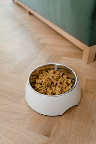 A bowl of dry dog food on a wooden floor &mdash; photo by MART PRODUCTION on Pexels