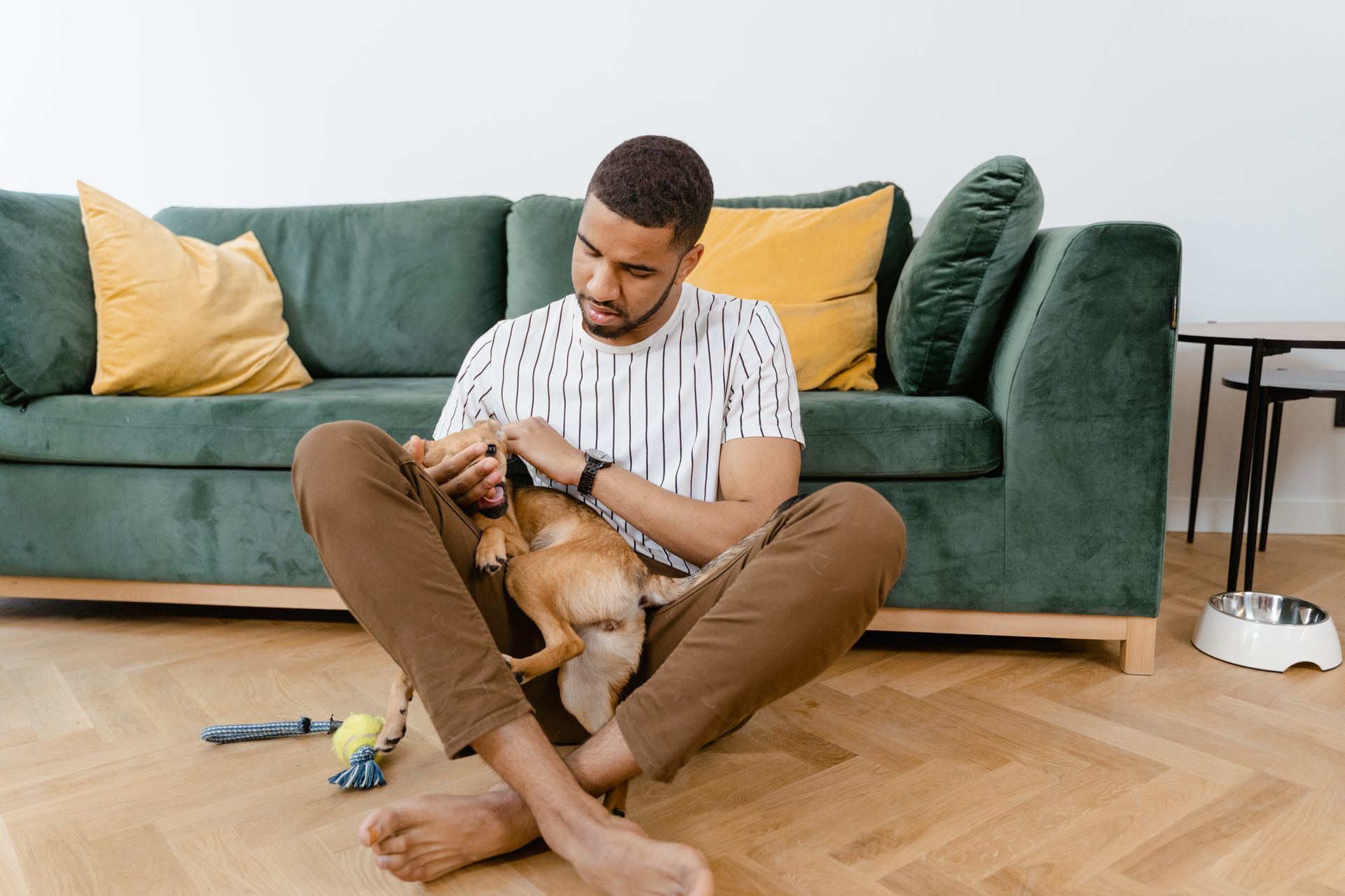 Man Holding a Dog
