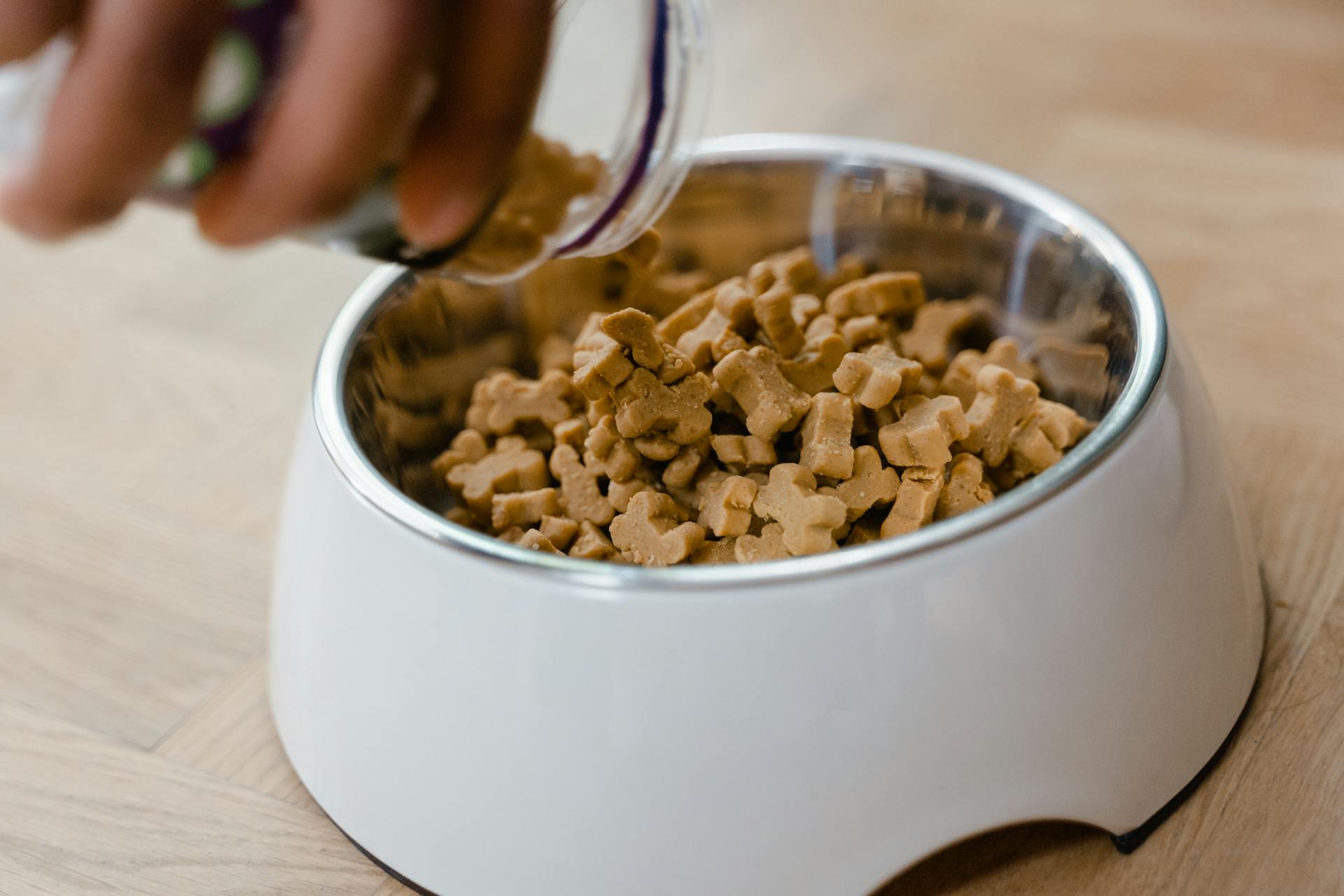 Honden lekkernijen met de hand op een schaal