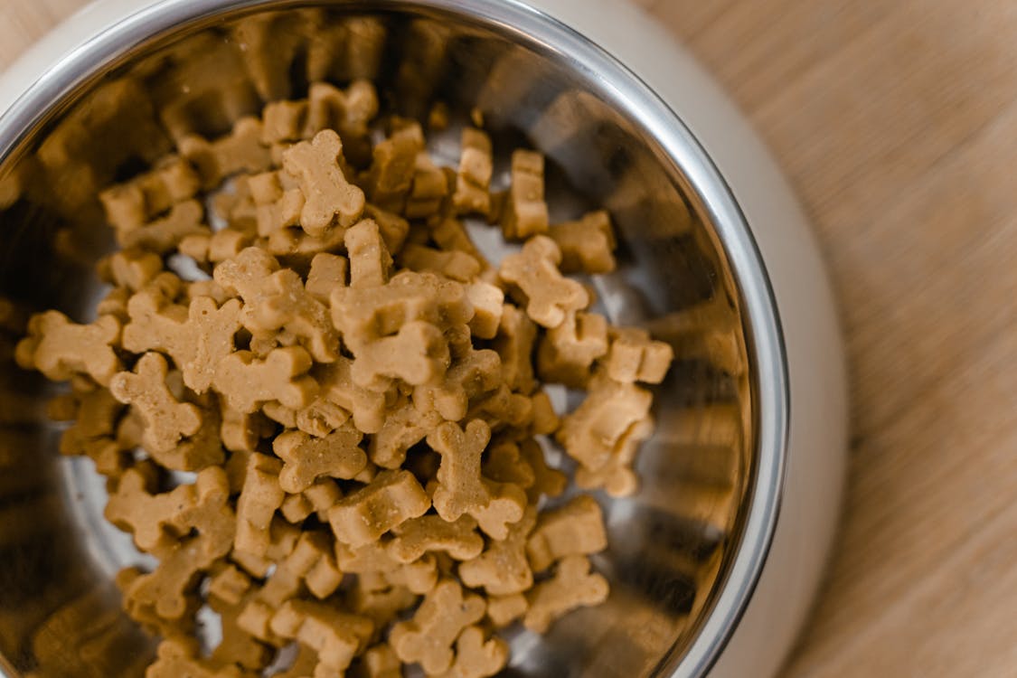 Free Dog Food in a Stainless Steel Bowl Stock Photo