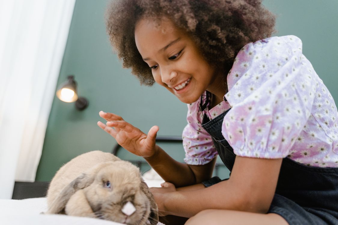 Pet A Rabbit Girl Petting a rabbit · Free Stock Photo