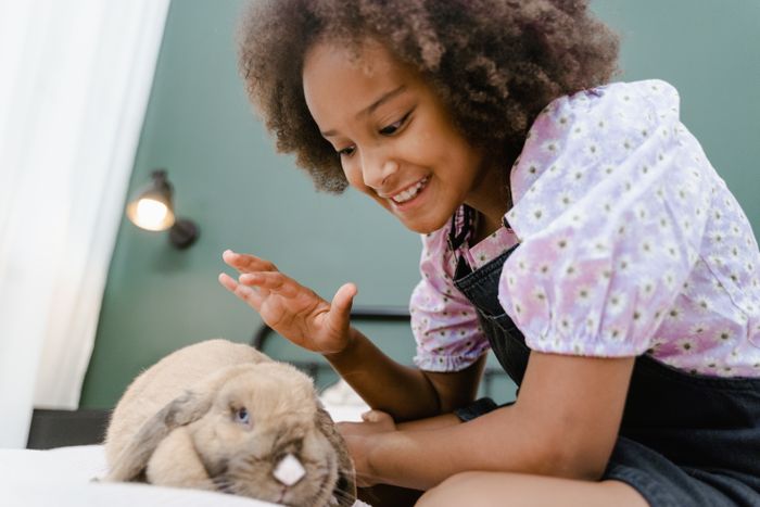 A girl playing with her rabbit on a bed