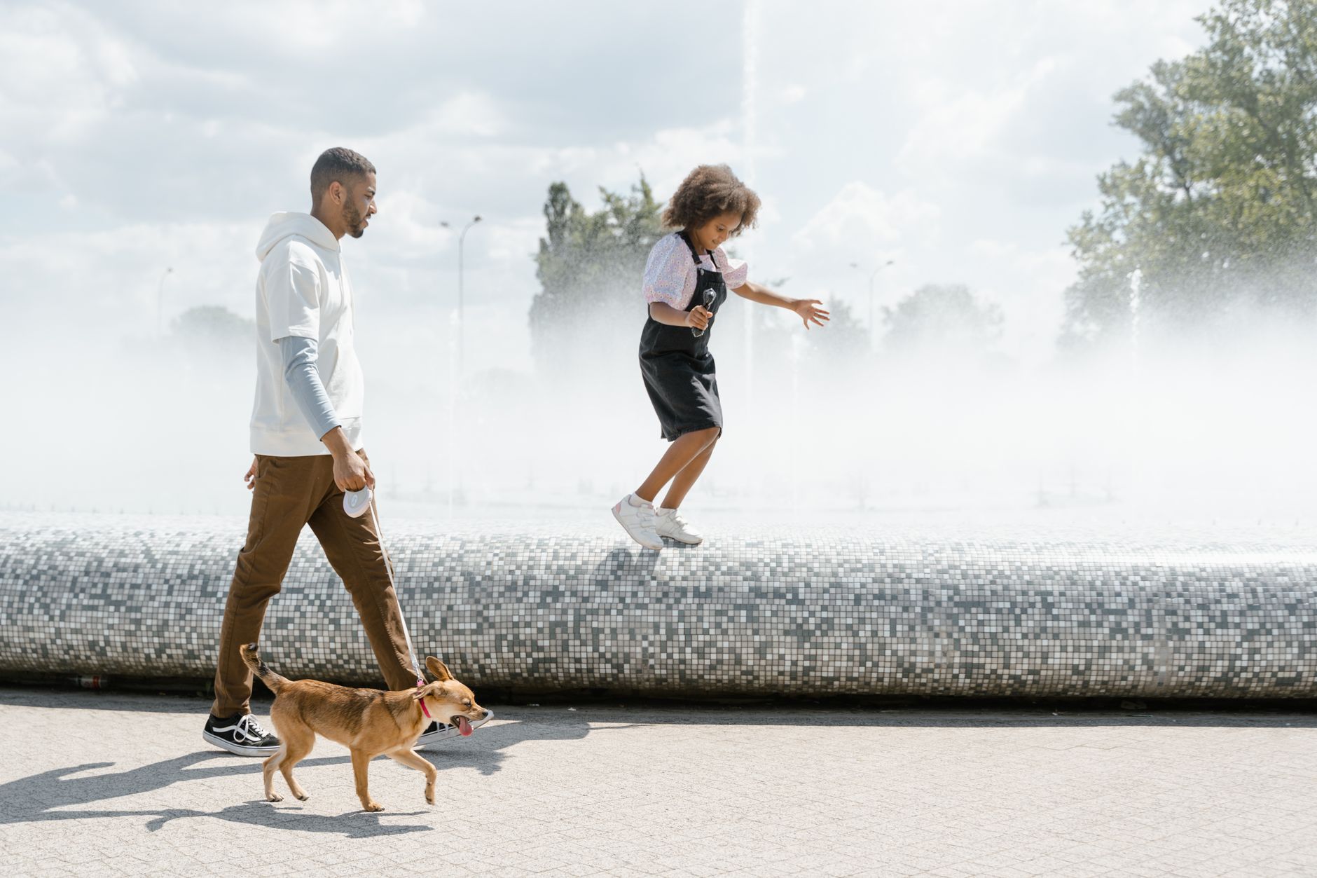 Best Pet Water Fountains 2026: Keep Cats and Dogs Hydrated All Day