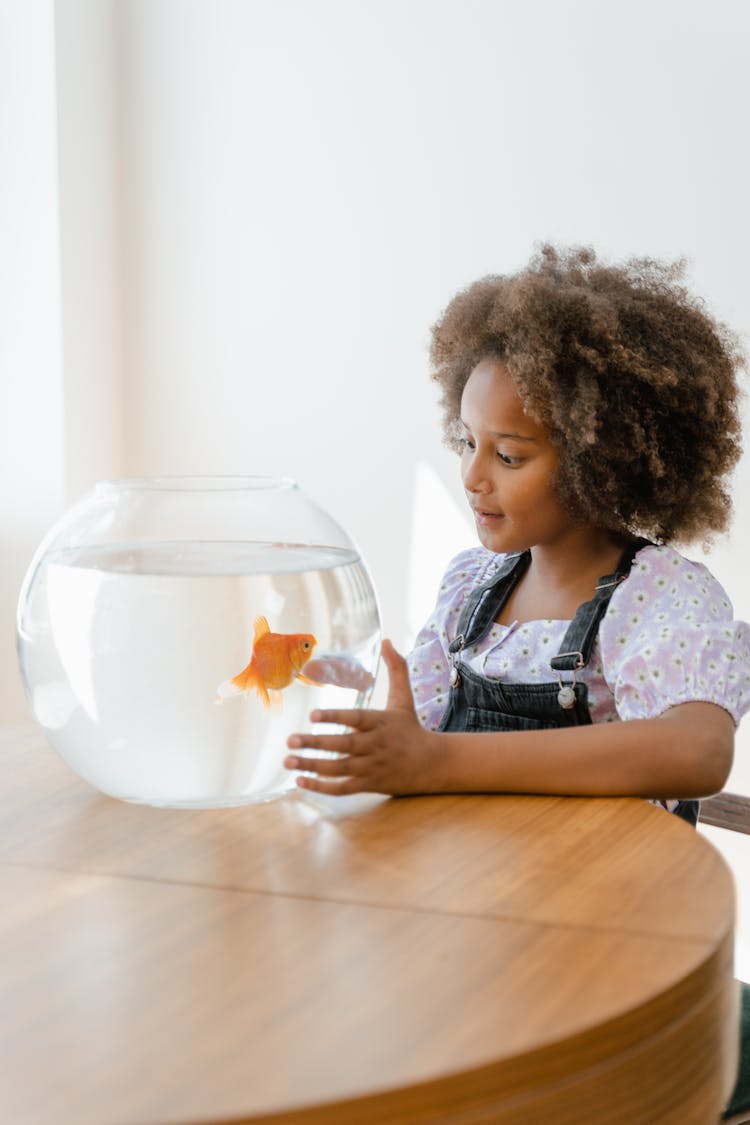 A Girl Watching A Goldfish