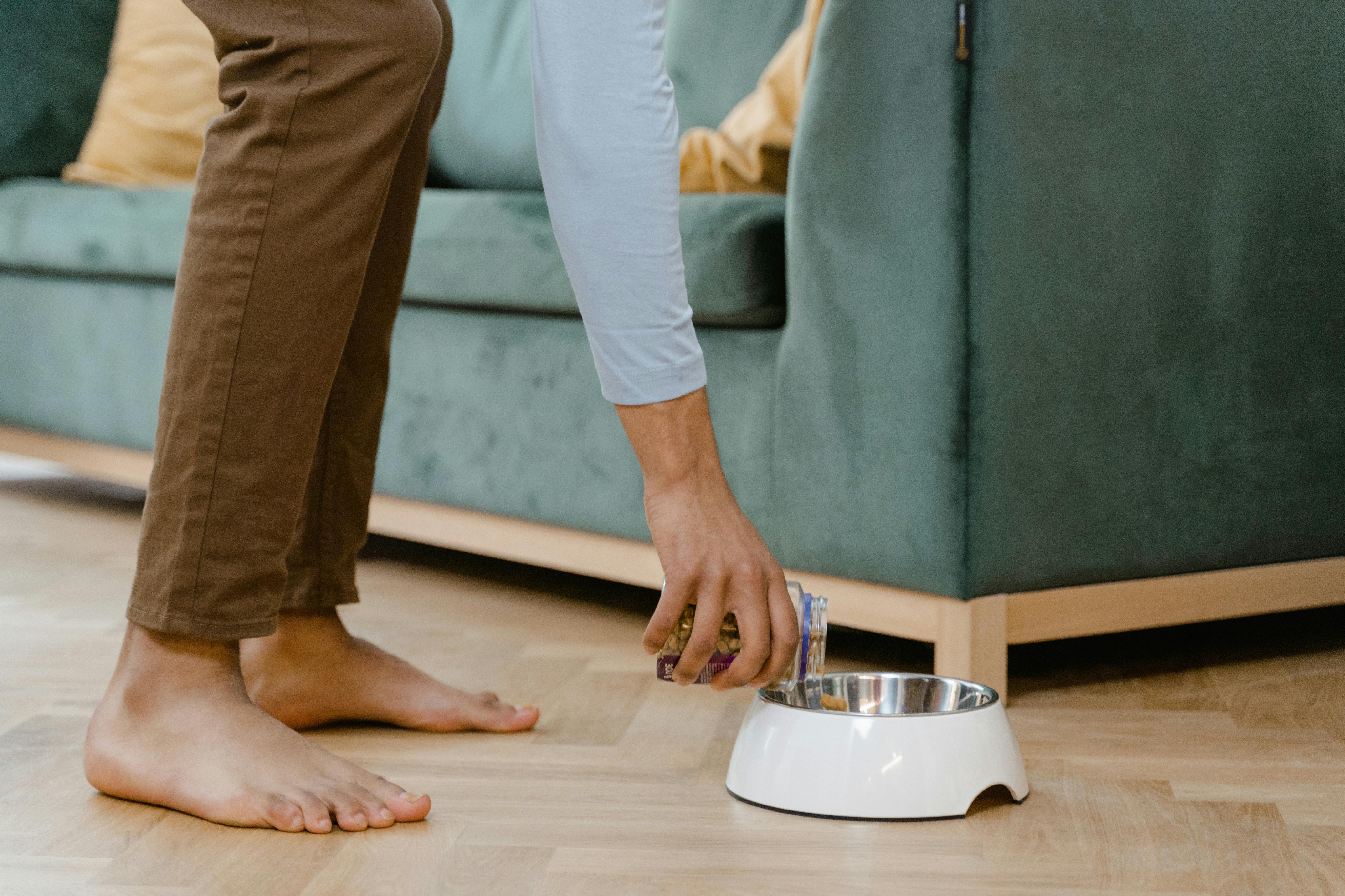 A Person Putting Food on a Dog Bowl