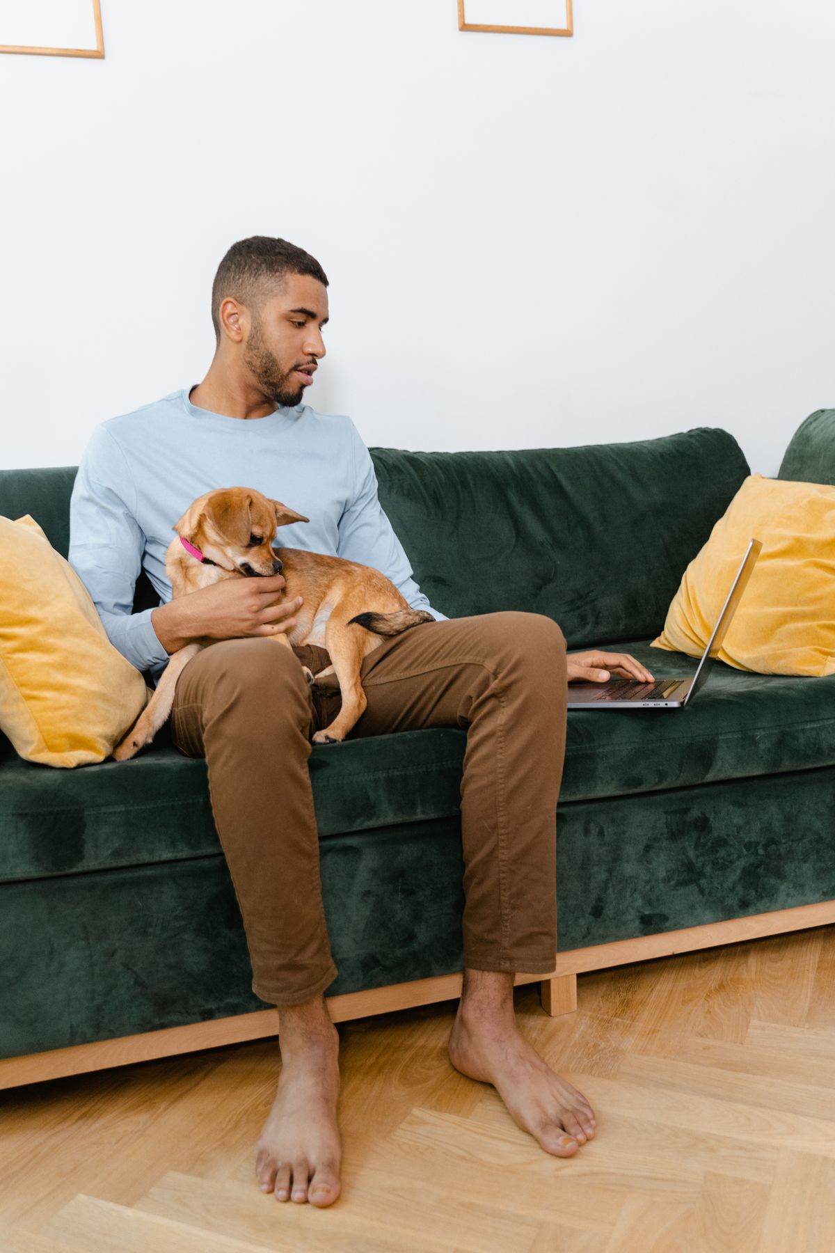 Dog beside a person in a home environment during a communication-focused interaction