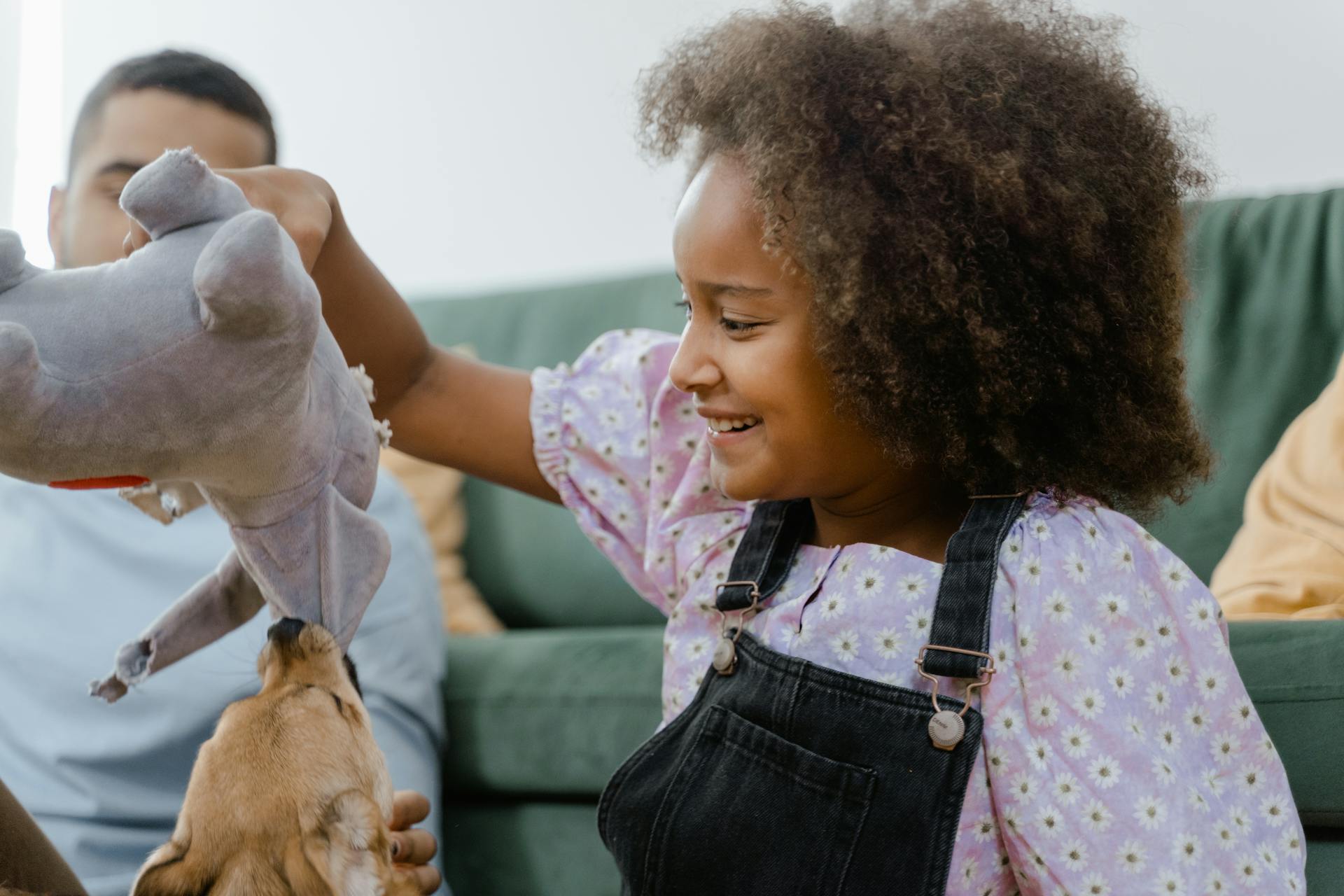 A Girl Playing with a Dog