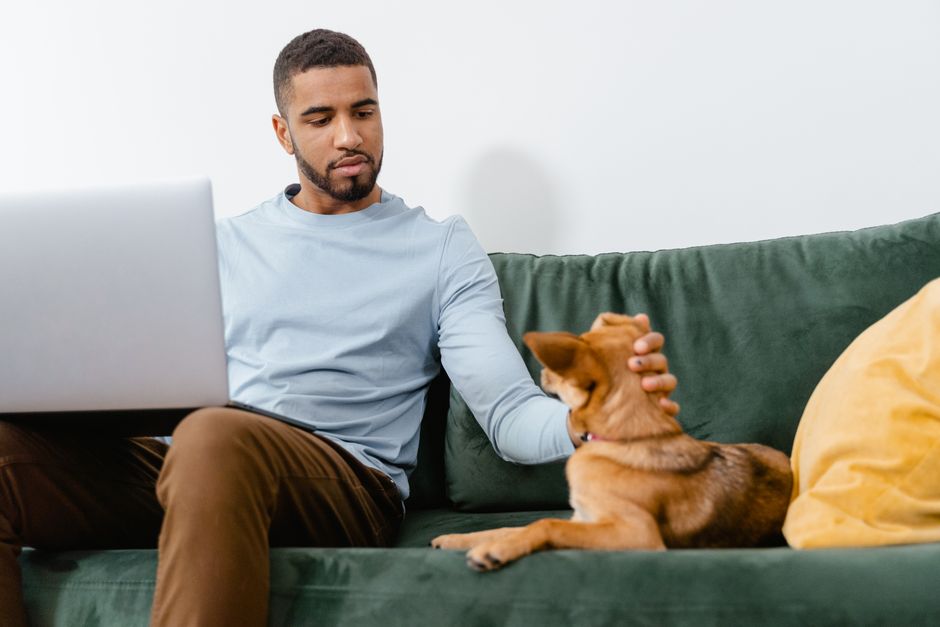 Person using laptop to search for pet-friendly apartments with dog sitting nearby - apartments dogs allowed Person using laptop to search for pet-friendly apartments with dog sitting nearby - apartments dogs allowed