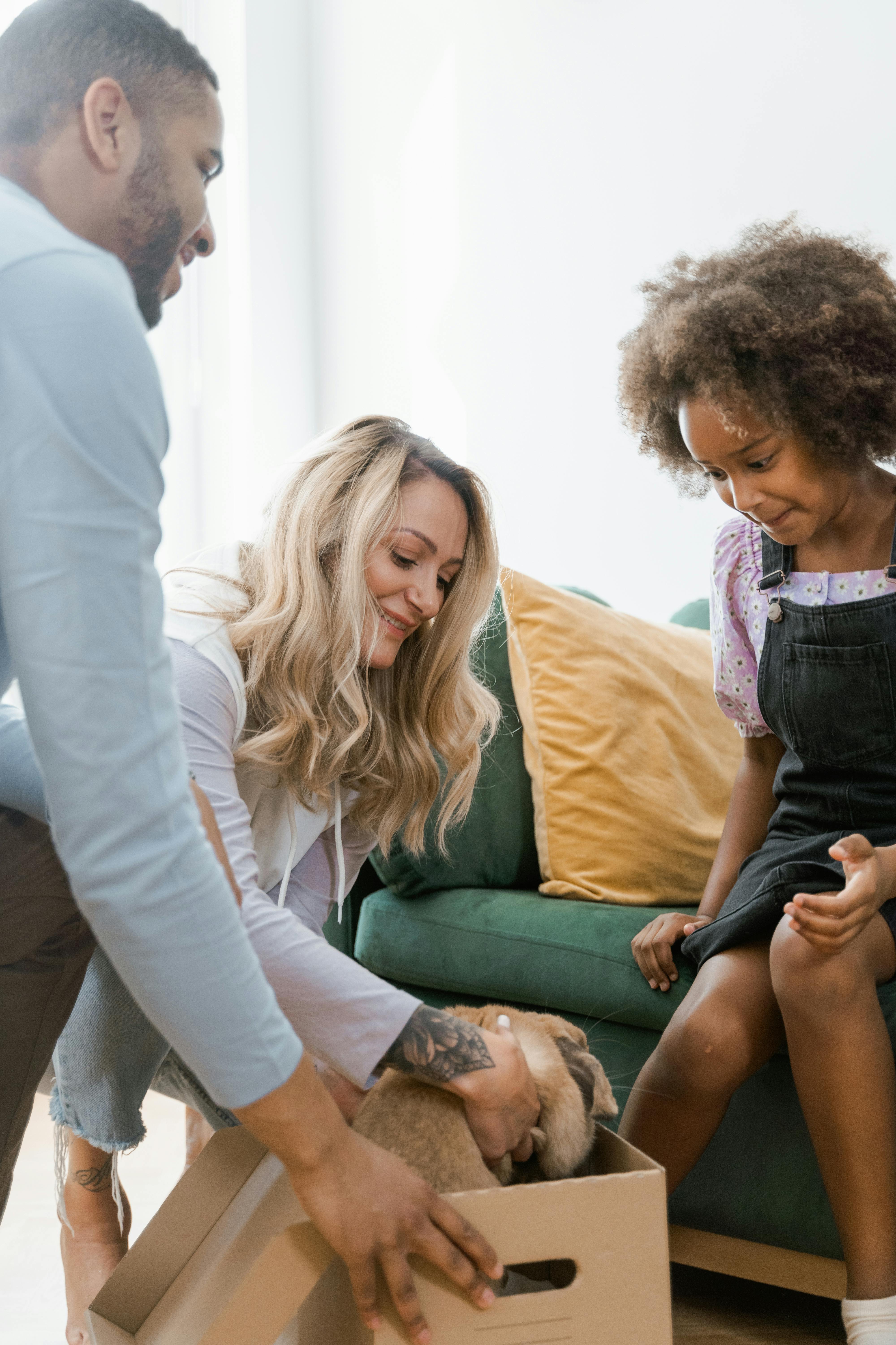 A joyful family discovers a surprise rabbit inside a cardboard box.