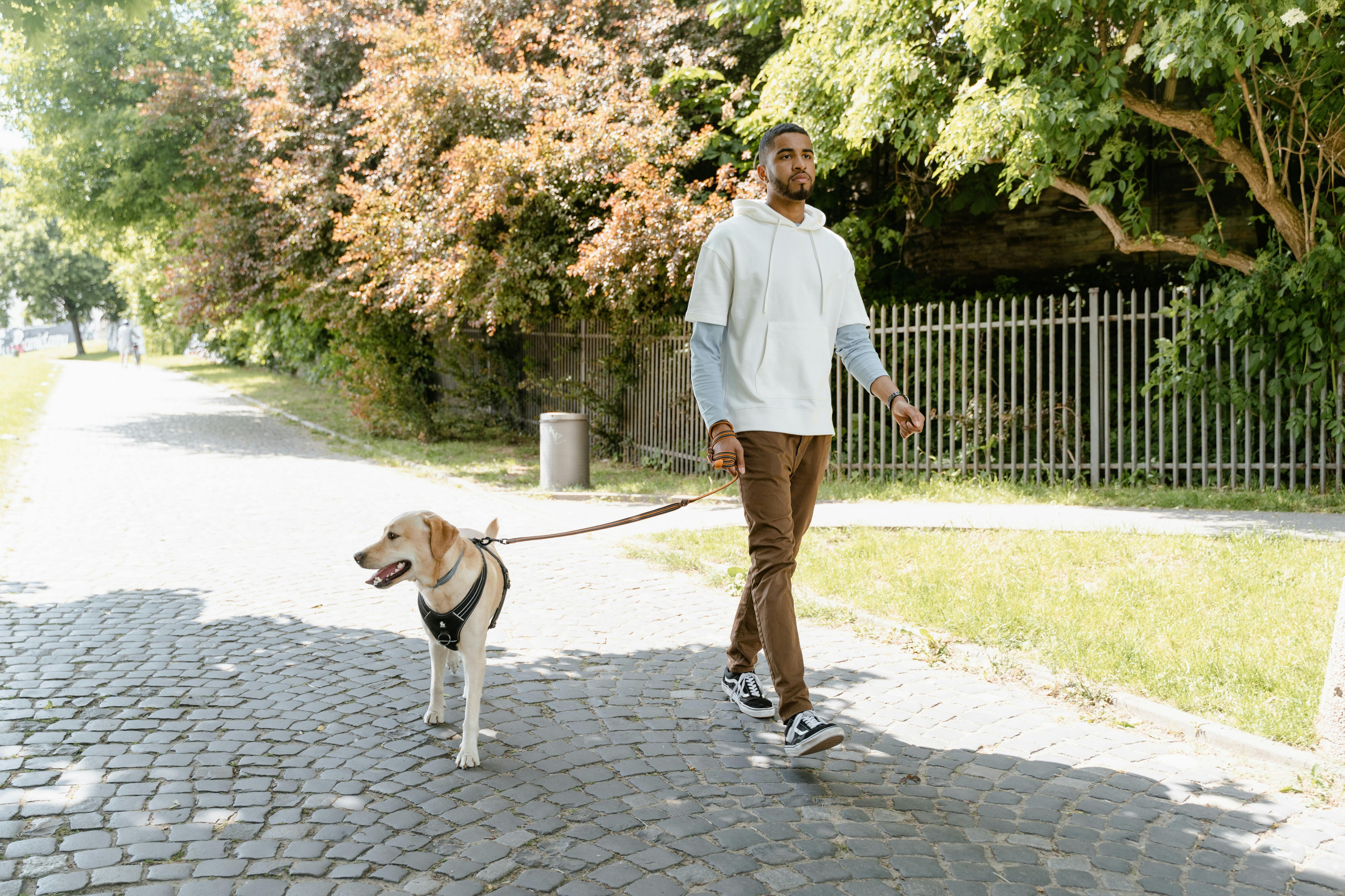 A Man Walking His Dog