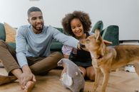 Man in Gray Crew Neck Shirt Holding Brown Short Coated Dog