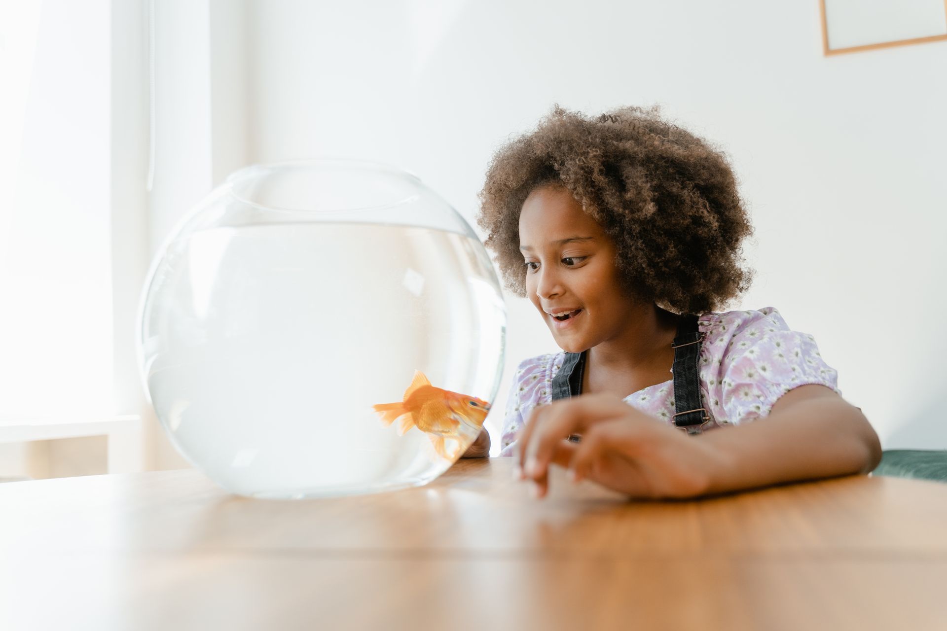 Small Girl Enjoying Goldfish in the Aquarium
