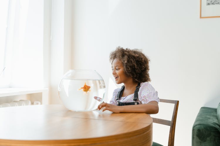 Girl Looking At Fish In A Fish Bowl