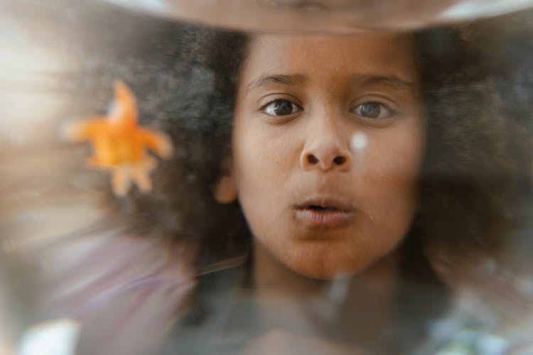 A Child Looking At A Glass Fishbowl