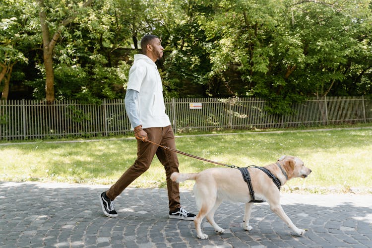 Man Walking Holding The Leash Of A Dog