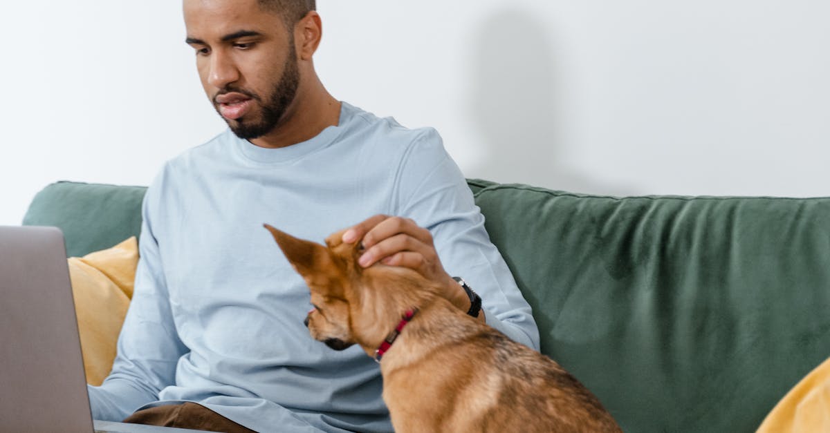 How to get dog pee smell out of couch