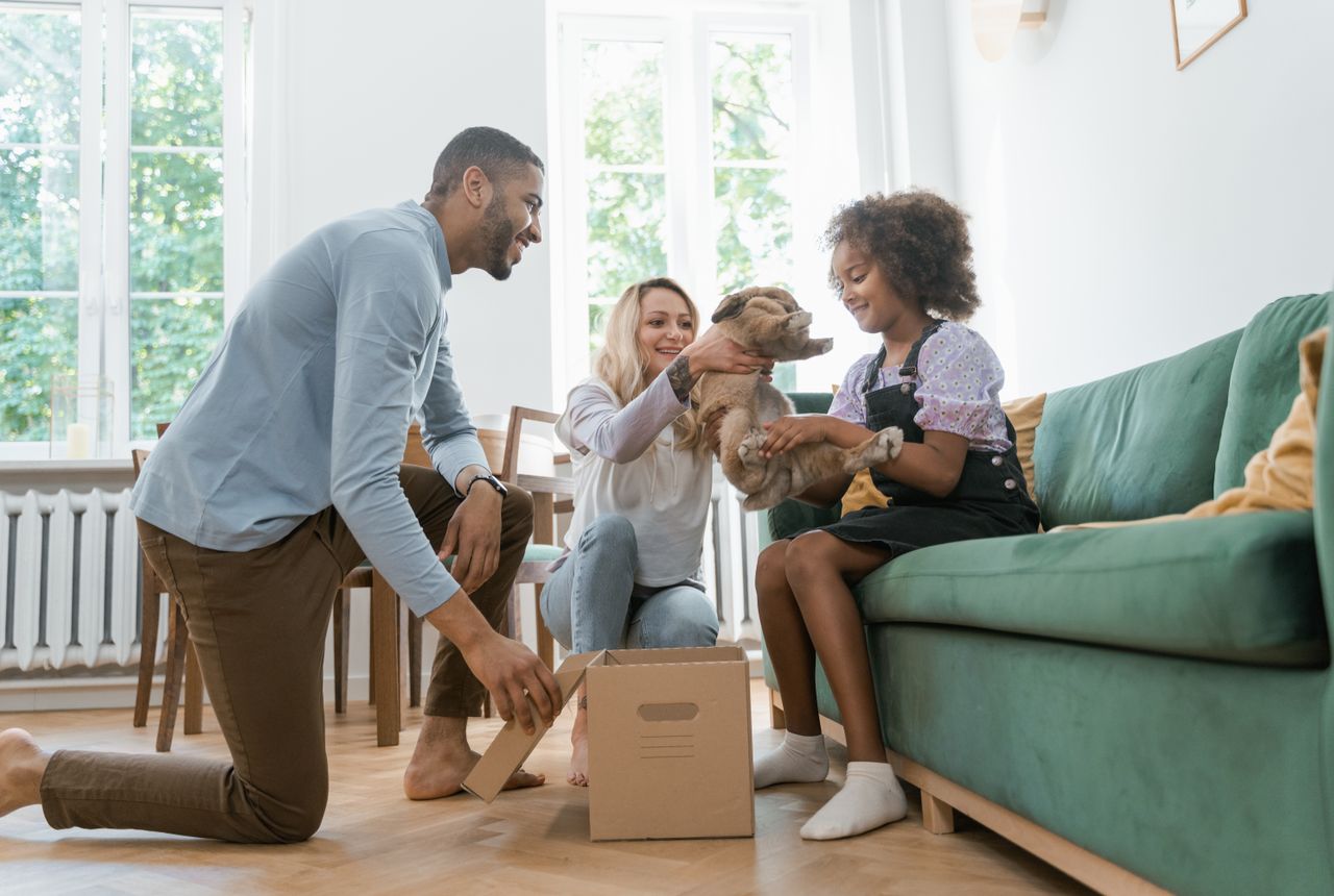 Same-day removals Cranham — removals work in progress