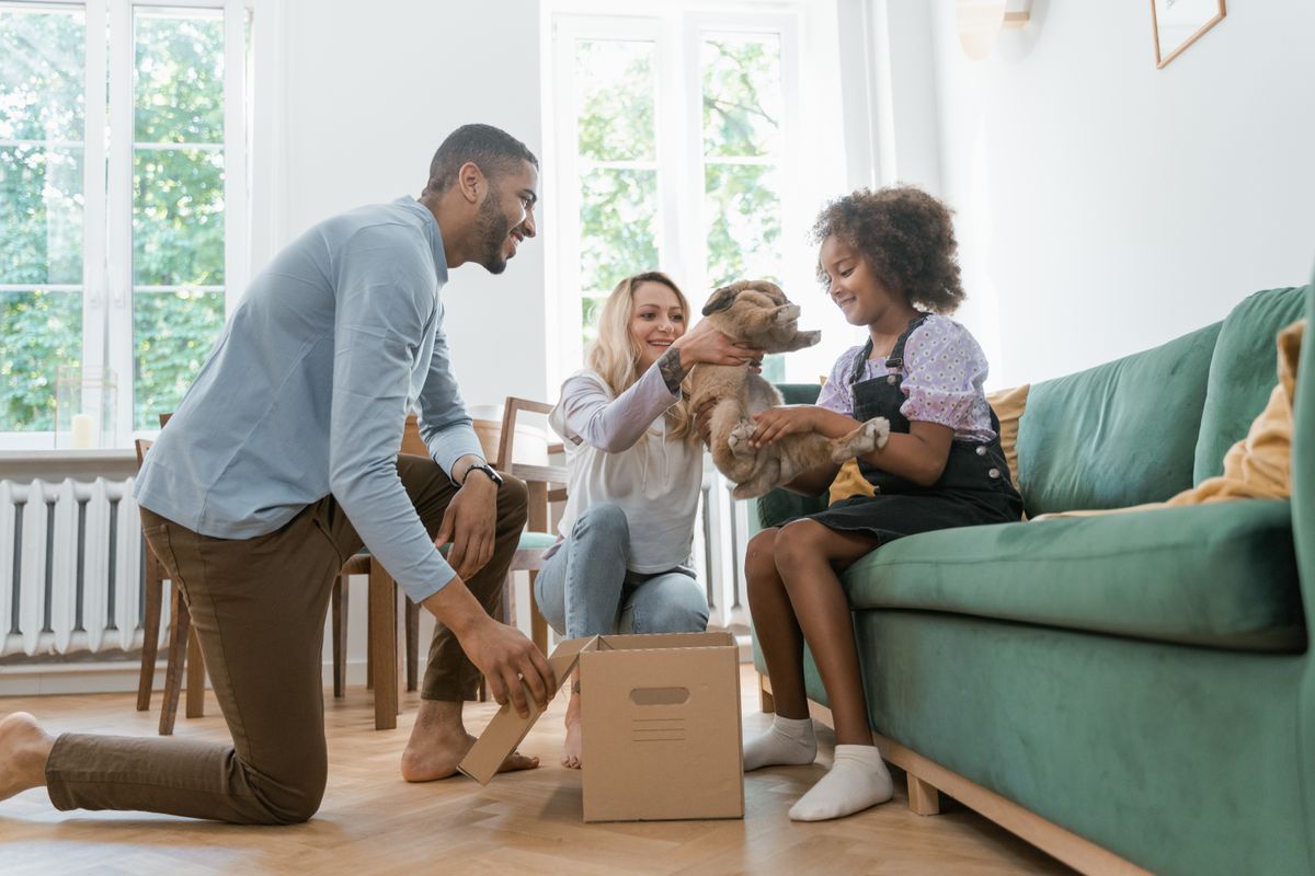 home removals in Sturminster Newton — Loaded properly: blankets, straps and a plan in Sturminster Newton