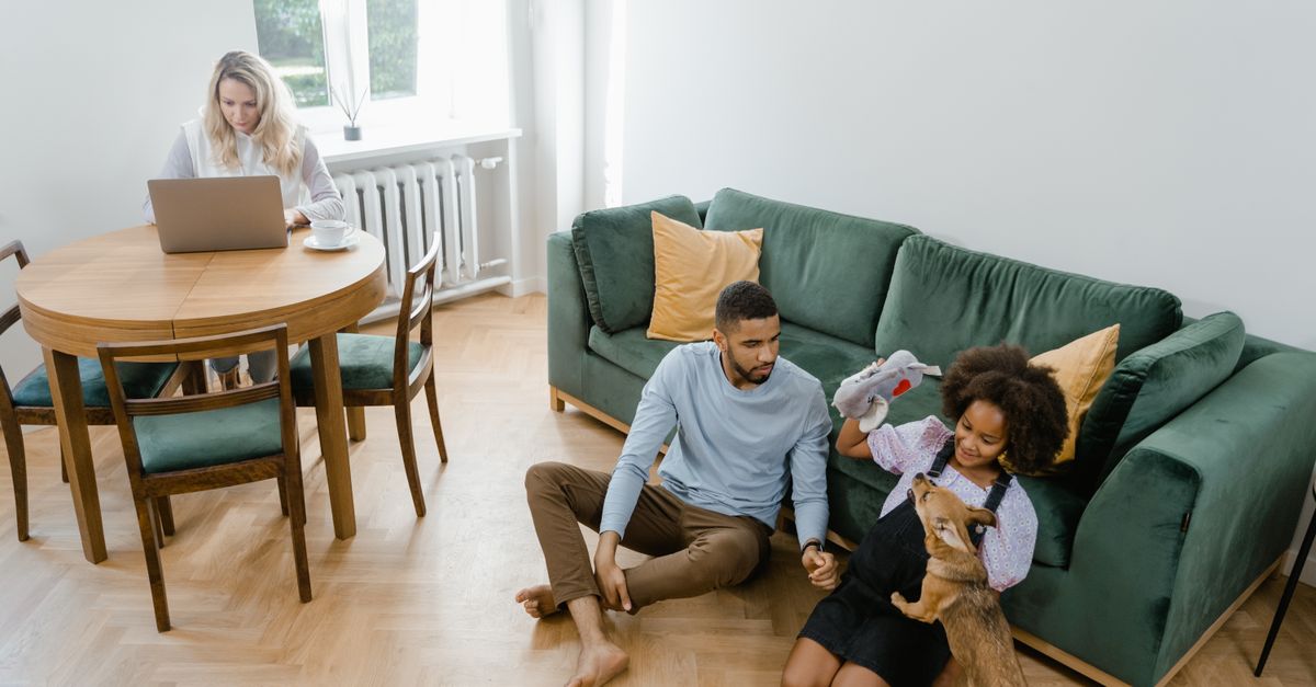 Top 10 Pet Gadgets for Every Pet Owner in 2026