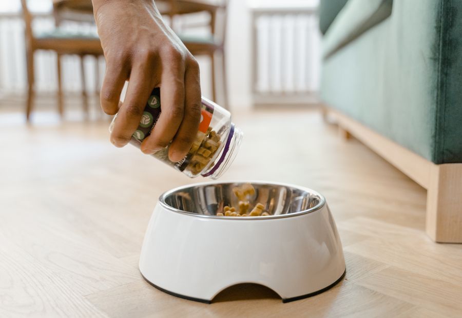 Hand portioning dog food into a bowl