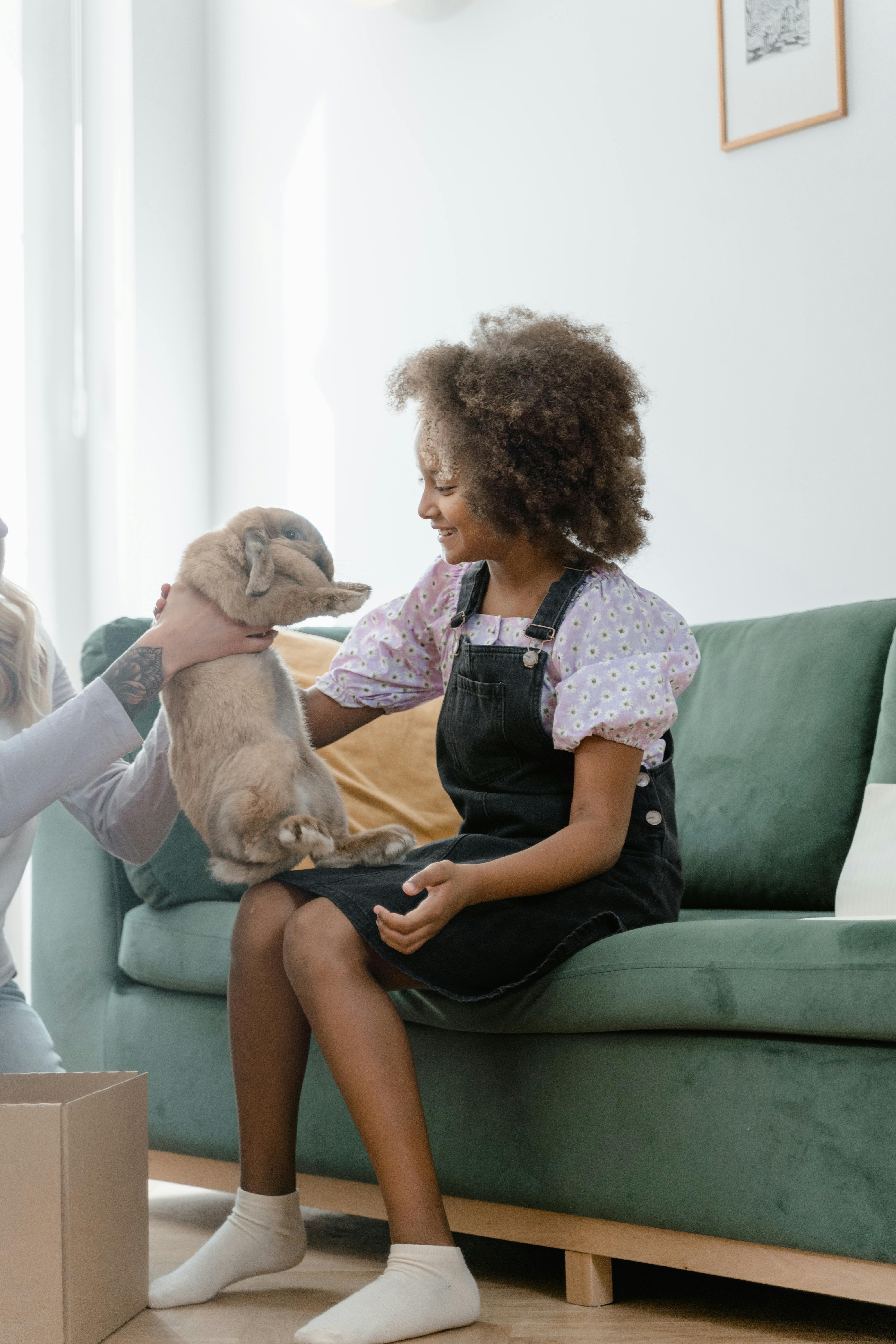 A young girl with afro hair delightedly sits on a couch, holding her pet rabbit indoors.