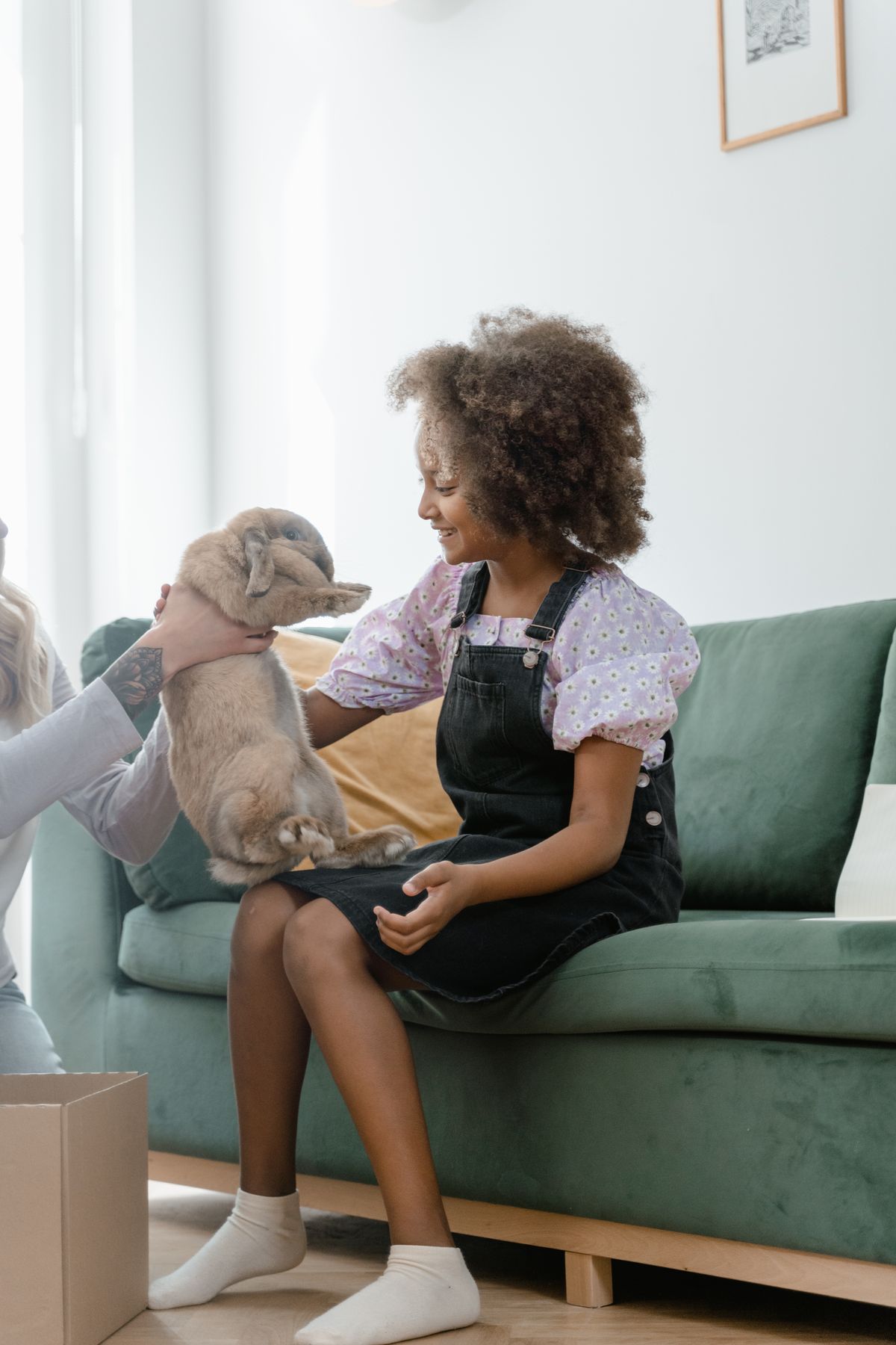 Could Parasites Be Causing My Pet's GI Symptoms?