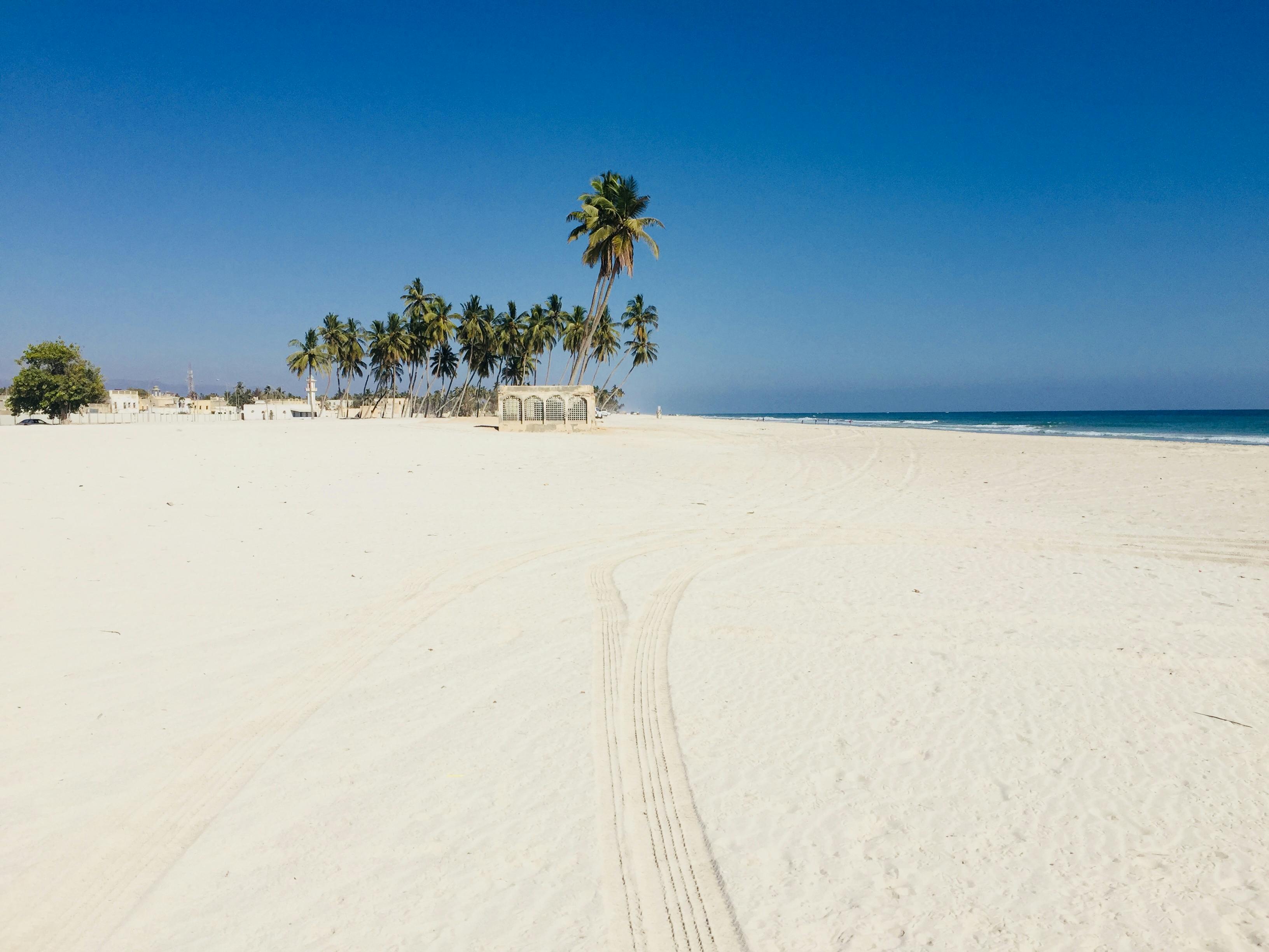 Photo Gratuite De Palmiers Plage Salalah