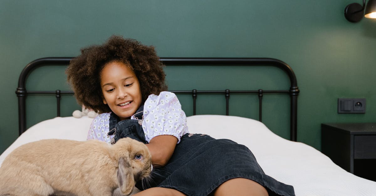 A Girl with Pet Rabbit