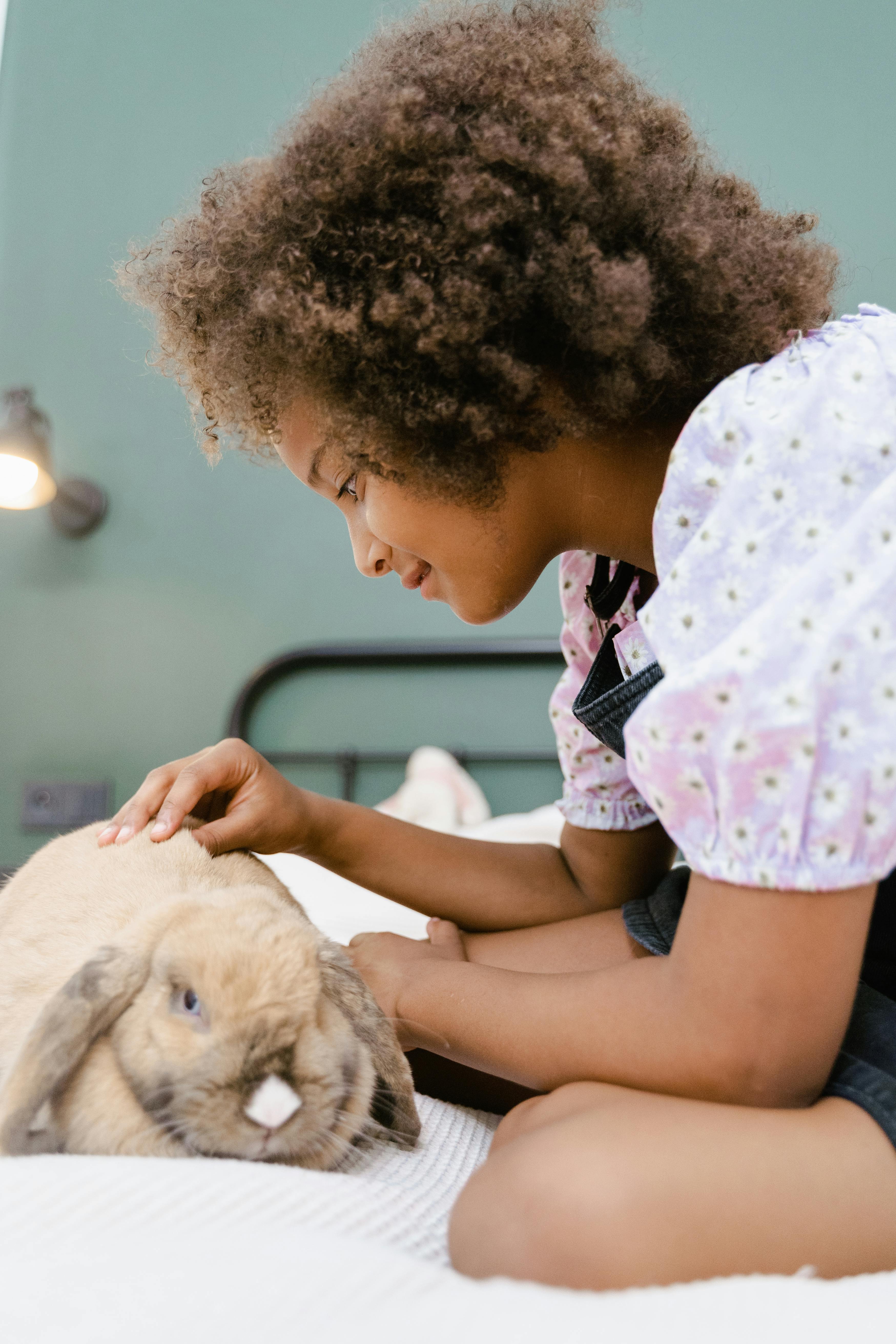 a young girl sitting while petting her rabbit