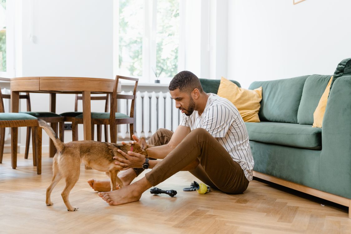 Persona che interagisce con il proprio cane in casa, fotografia illustrativa