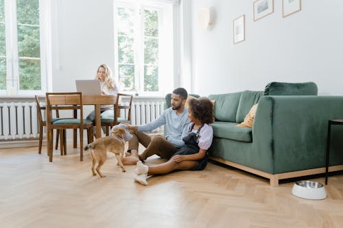 Immagine gratuita di amore, animale domestico, bambino