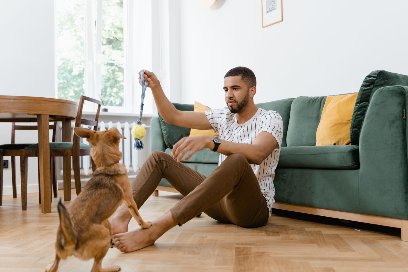 Pet owner enjoying playful everyday time with his dog at home