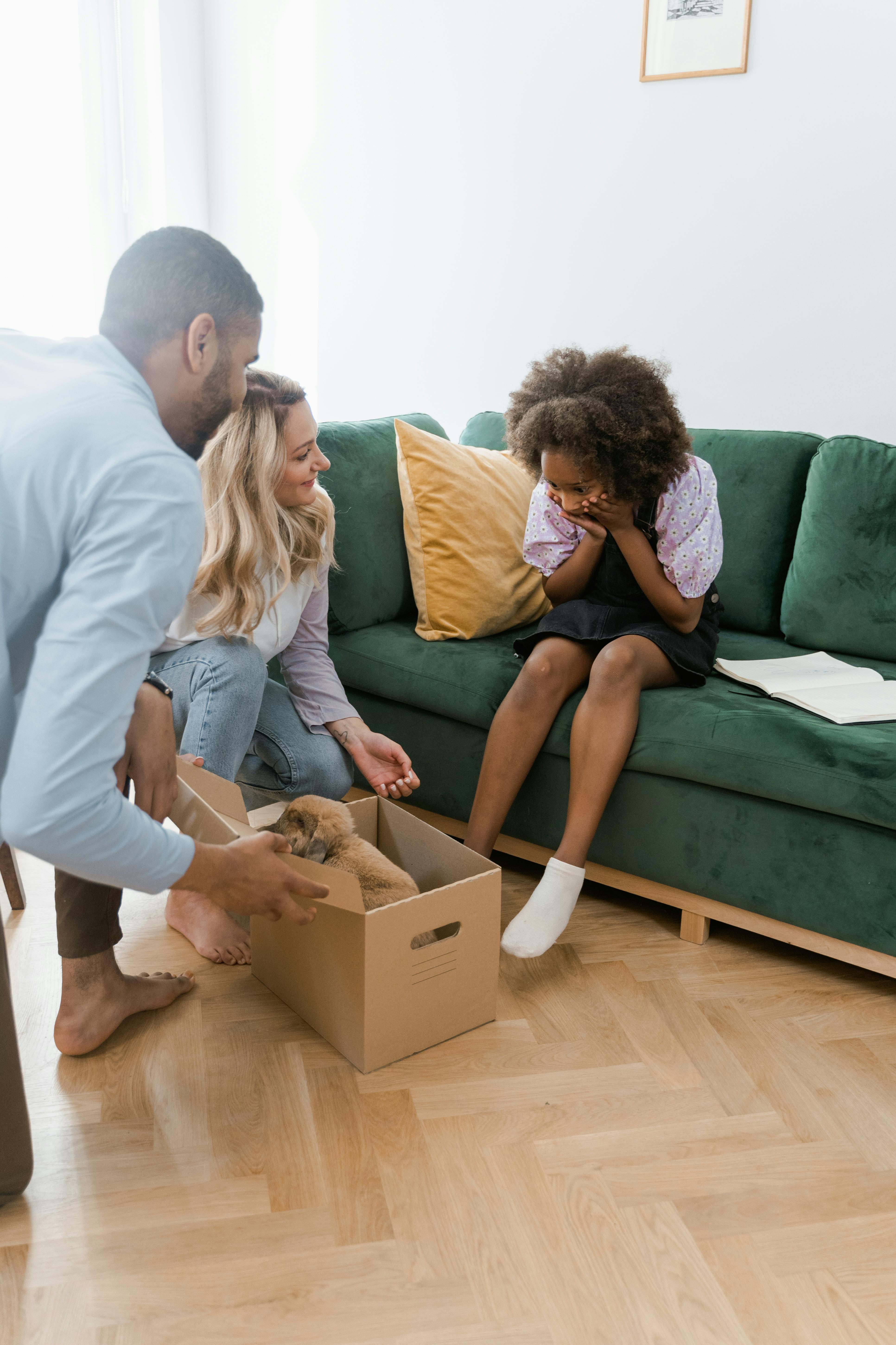 Why Do Dogs Have Wet Noses? Discover The Fascinating Reasons! 2 5 Fascinating Facts About Dog Noses That Will Surprise You